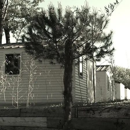 Kemp Mussonville Soulac-sur-Mer